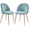 2pcs Velvet Dining Chairs with Backrest for Kitchen, Pink